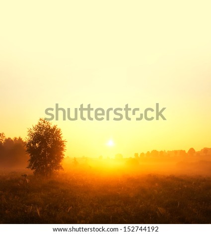 [Obrazek: stock-photo-foggy-morning-on-meadow-sunr...744192.jpg]
