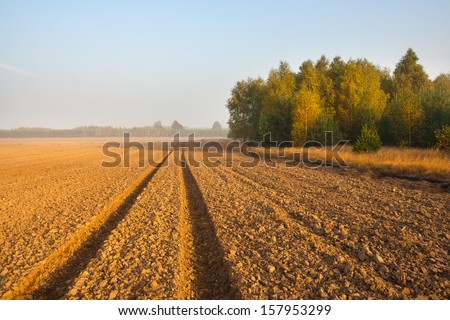 plowed field with tractor traces and forest at sunrise