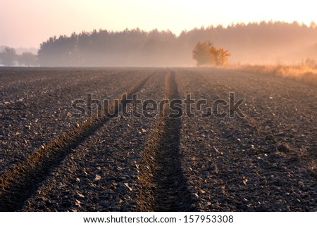 [Obrazek: stock-photo-plowed-field-with-tractor-tr...953308.jpg]