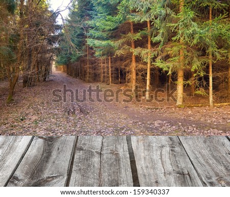 wood textured backgrounds in a room interior on the autumn forest backgrounds