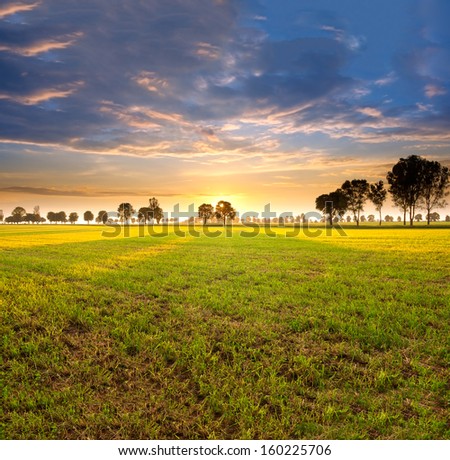 [Obrazek: stock-photo-trees-and-sunset-on-field-160225706.jpg]