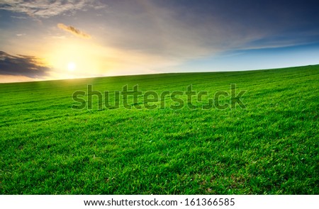 [Obrazek: stock-photo-field-and-bright-sunset-sky-161366585.jpg]