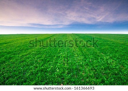 [Obrazek: stock-photo-beautiful-field-landscape-161366693.jpg]