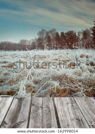 winter landscape with wood floor.frozen grass