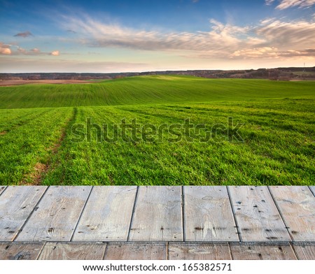 green field at sunset. vista landscape with wood floor