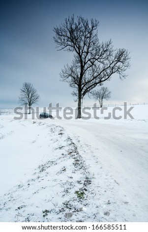 winter landscape with withered trees against sunset sky
