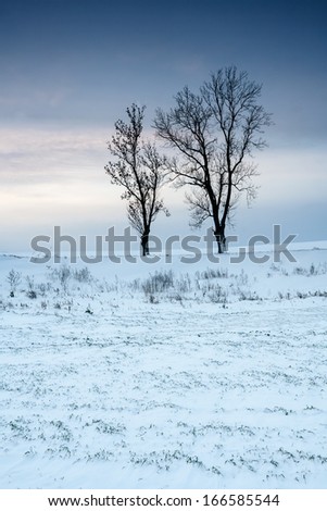 winter landscape with withered trees against sunset sky