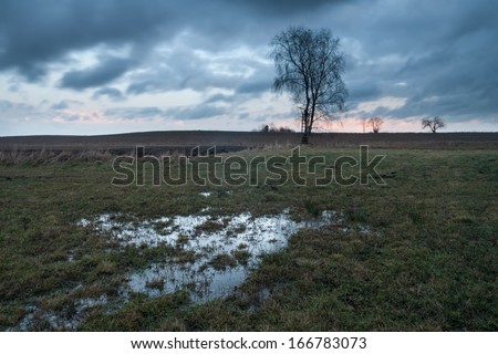 [Obrazek: stock-photo-meadow-with-puddle-at-thaw-166783073.jpg]