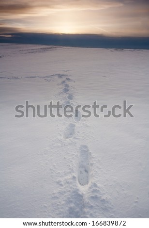 winter field with footprints at sunset