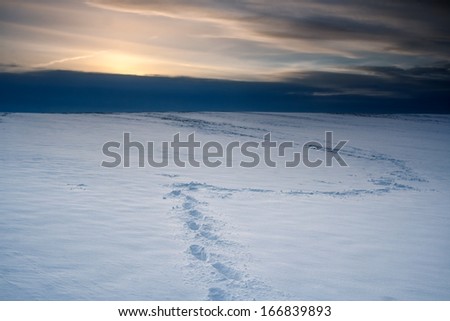 [Obrazek: stock-photo-winter-field-with-footprints...839893.jpg]