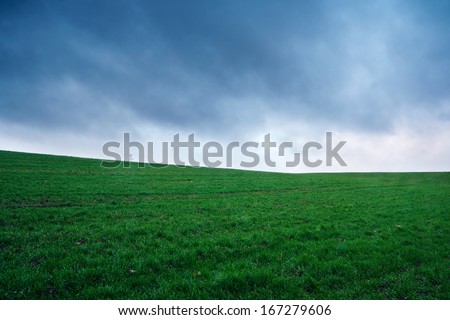 green young field at bad weather landscape