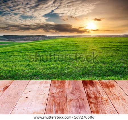 green field at sunset. vista landscape with wood floor