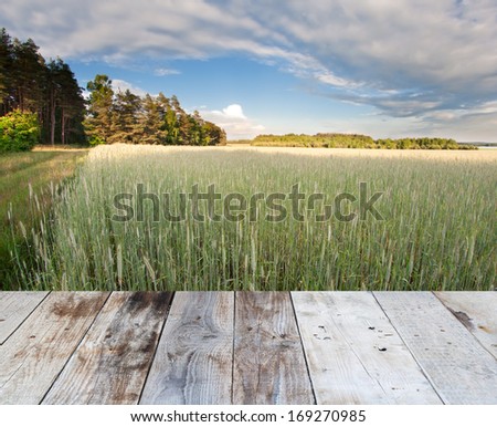 field at sunset. landscape with wood floor