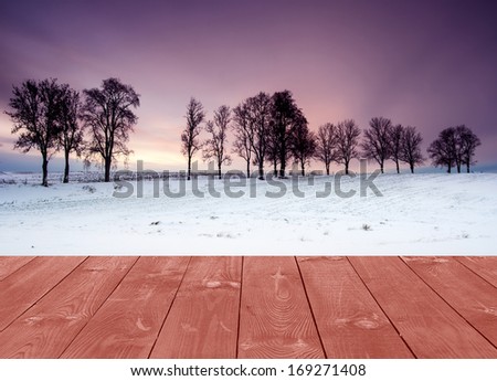 winter field and withered trees landscape with wood floor