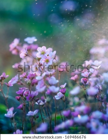 small pink garden flowers with wood floor