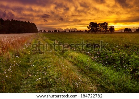 [Obrazek: stock-photo-trees-and-sunset-on-field-184722782.jpg]