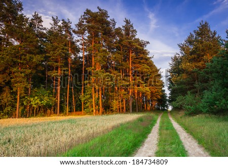 [Obrazek: stock-photo-forest-landscape-184734809.jpg]
