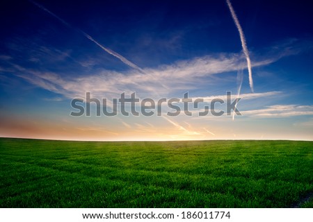Green field at sunset