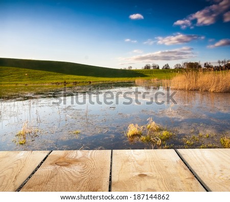 landscape with flooded field and wood floor