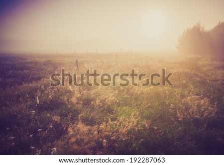 vintage photo of morning foggy meadow in summer. rural landscape