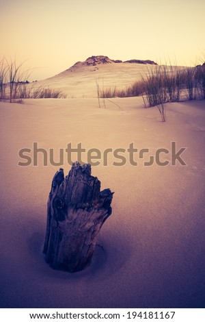 vintage photo of desert landscape