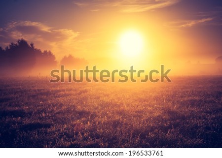 [Obrazek: stock-photo-foggy-morning-on-meadow-sunr...533761.jpg]
