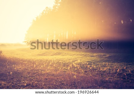 [Obrazek: stock-photo-foggy-morning-on-meadow-sunr...926644.jpg]