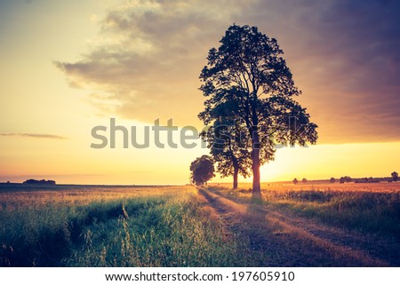 vintage photo of sunrise over green field