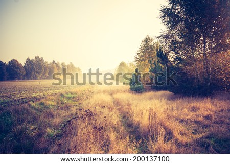[Obrazek: stock-photo-vintage-photo-of-wild-meadow...137100.jpg]
