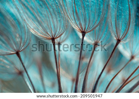 [Obrazek: stock-photo-close-up-of-dandelion-seed-209501947.jpg]