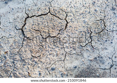 cracks in dry mud background