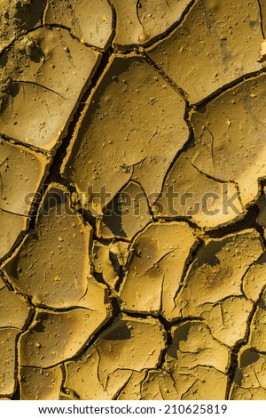 dry cracked mud background