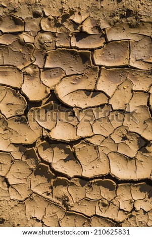 dry cracked mud background