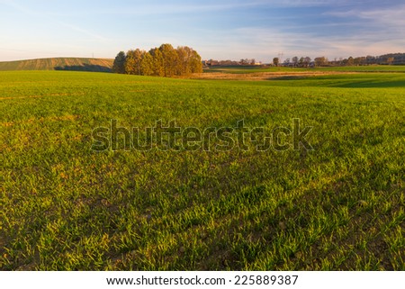 [Obrazek: stock-photo-green-field-landscape-225889387.jpg]