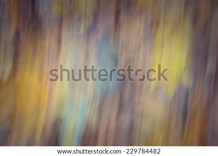 blurry nature  abstraction