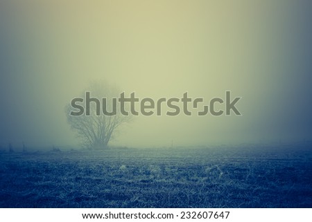 vintage photo of spooky foggy landscape