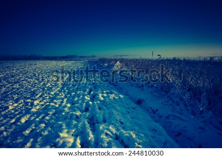 vintage landscape. winter on field