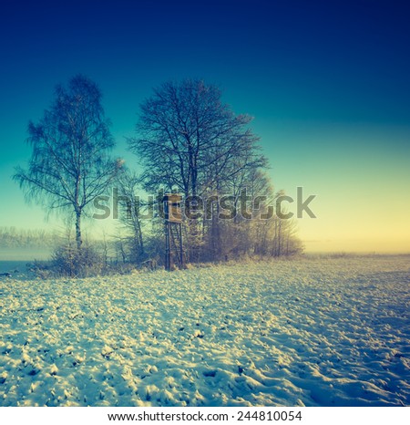 vintage landscape. winter on field