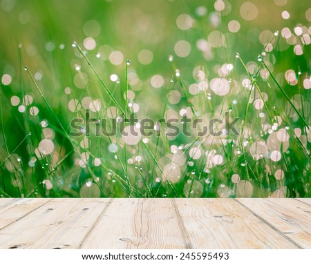 [Obrazek: stock-photo-wet-springtime-grass-with-bo...595493.jpg]