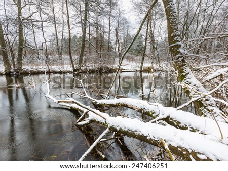 winter wild river landscape
