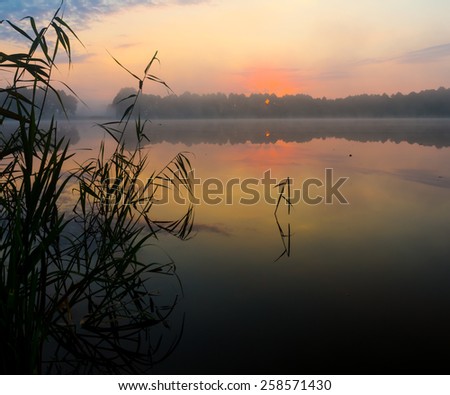 Beautiful sunrise over foggy lake