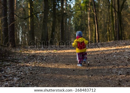 Toddler child walking by path in forest. Springtime forest landscape with small child walking alone on path.