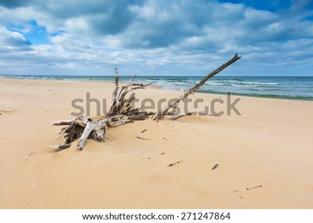 Beautiful beach landscape with cloudy sky and sea with waves. Baltic sea coast near Gdansk in Poland.