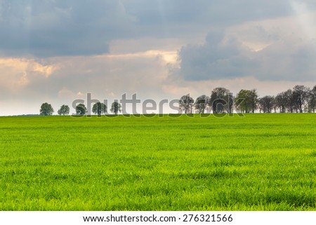 Green field landscape with cloudy sky and distant trees.