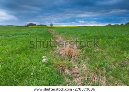 Green springtime meadow landscape with cloudy storm sky. Beautiful grassland landscape under dark sky