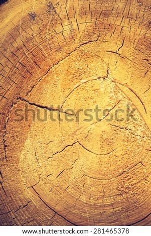 Vintage photo of background of sliced tree trunk. Close up of tree trunk section.