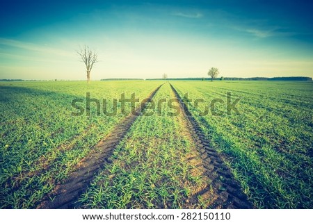 Vintage photo of beautiful springtime idyllic sunrise over young cereal field. Beautiful polish countryside.