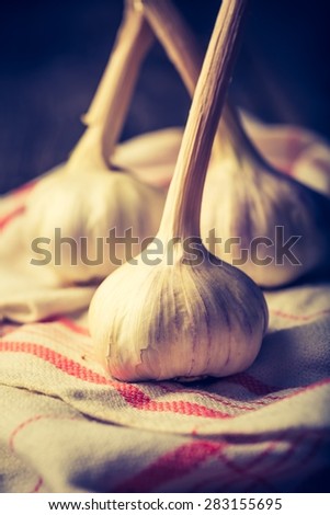 Vintage photo of fresh garlic on dark background with mystic light
