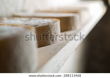 Goat cheese maturing in basement. Studio shoot with mystic light effect.