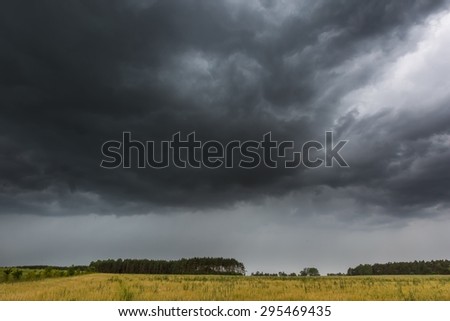 Dark stormy clouds over corn field at summer. Frightening storm over countryside.